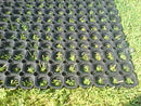 Washdown Stable Mats - Slip Not Co Uk