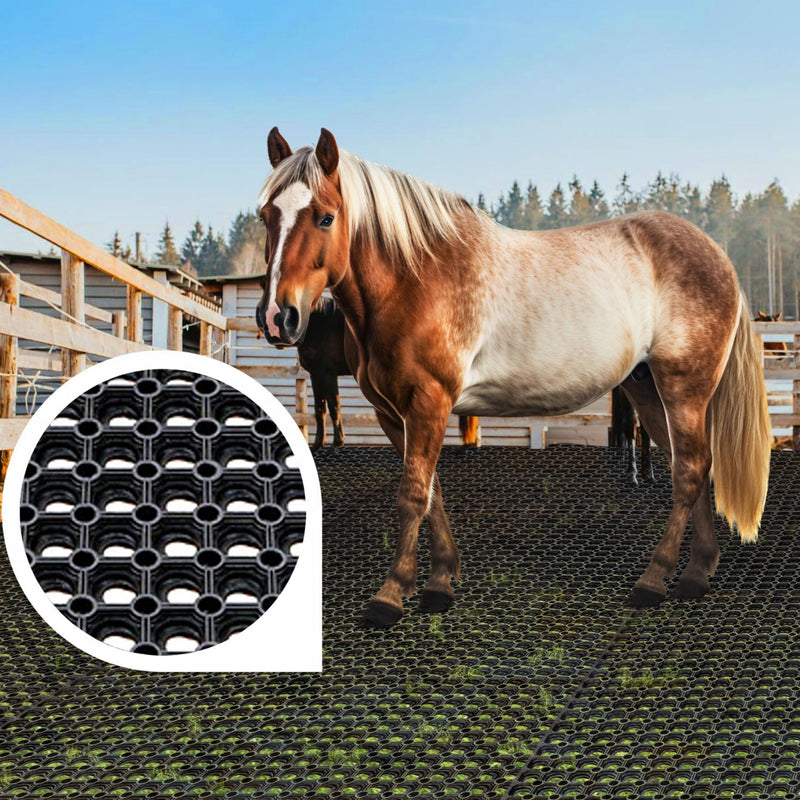 Washdown Stable Mats