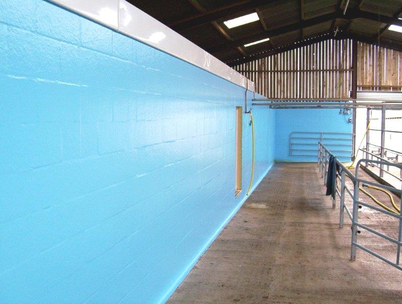 Sky Blue Wall Coating For Multi Purposes
